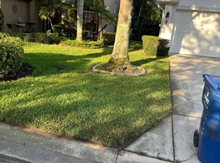 Tim H.'s Lawn Service service result
