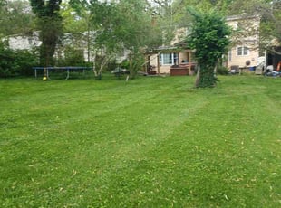 paul s.'s Lawn Mowing Service service result