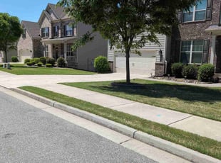 Dan M.'s Lawn Mowing service result