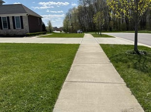 Shaneise W.'s Lawn Maintenance service result