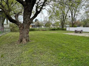 Andrea H.'s Yard Cutting service result