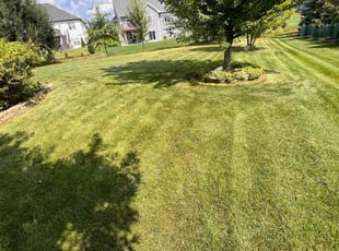 Jim F.'s Lawn Mowing Service service result