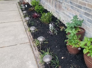 Mulching by Rolando Callejas for Angela W. in Katy, TX