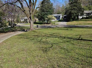 Larry C.'s Lawn Mowing service result