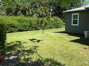 Mary V.'s Yard Cutting service result