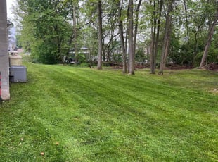 Rohit B.'s Lawn Care service result