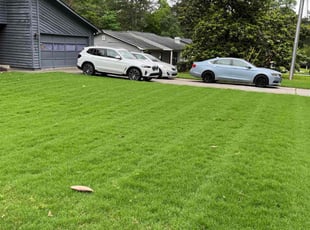 Devon H.'s Grass Cutting service result