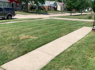 Scott F.'s Lawn Maintenance service result
