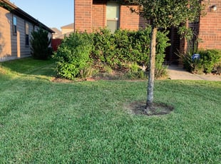 Darrick M.'s Lawn Maintenance service result