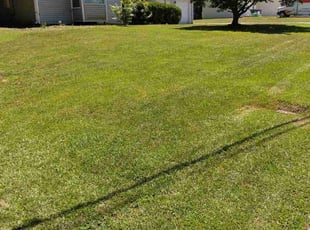 Lokesh N.'s Lawn Mowing service result