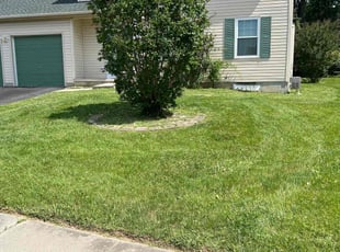 Stephan H.'s Lawn Mowing Service service result