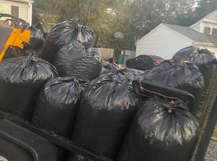 Janice H.'s Leaf Removal service result