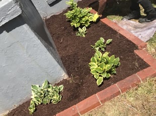 Weeding by Joseph Artis for Jennifer P. in Baltimore, MD