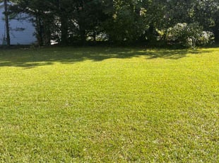 Joanie C.'s Lawn Mowing service result