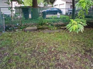 Weeding by Jose Bautista for Gloria Y. in Irvington, NJ