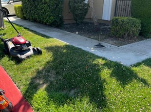 Bush Trimming by Juan Martinez for Hali W. in Lathrop, CA