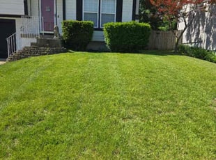 Catherine B.'s Lawn Mowing Service service result