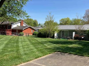 Joan B.'s Lawn Mowing Service service result