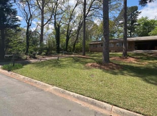 Tricia S.'s Lawn Service service result