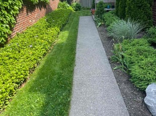 Ann W.'s Lawn Service service result