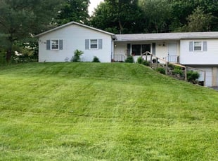 Steven D.'s Lawn Care service result