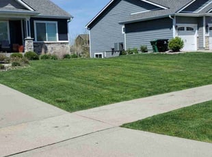 Vector B.'s Lawn Care service result