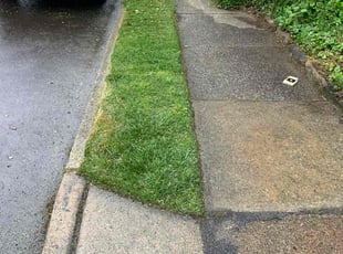 Narayan B.'s Yard Cutting service result