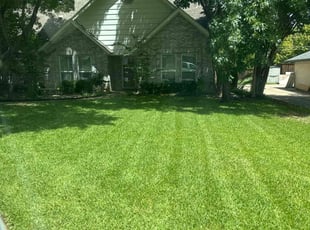 Beatrice G.'s Lawn Care service result