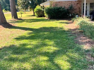 Dianita S.'s Lawn Care service result