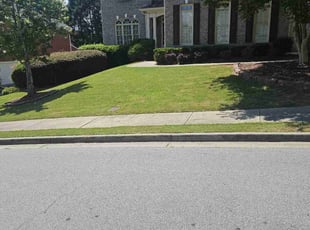 Emanuell L.'s Lawn Service service result