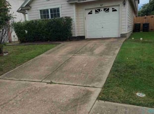 Bush Trimming by Rene Andrade for Heather C. in Pflugerville, TX