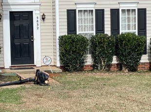 Bush Trimming by Robert Brooks for Joey M. in Charlotte, NC