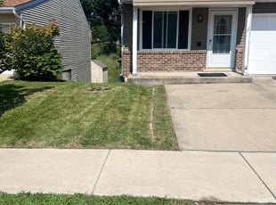 Phil H.'s Lawn Mowing service result