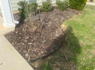 Weeding by Michael Dover Jr for Kathi H. in White House, TN