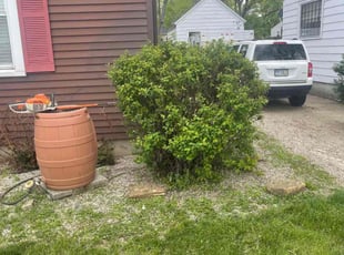 Bush Trimming by Deric Salmons for Debbie H. in Middletown, OH