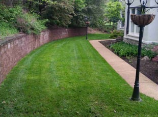 Alesha W.'s Yard Cutting service result