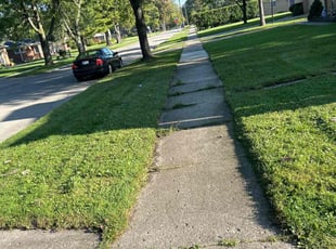 Cleanups by Kyle Yacko for Eddie R. in St. Clair Shores, MI