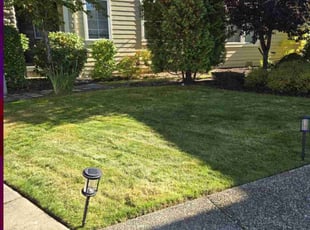 Tony B.'s Grass Cutting service result