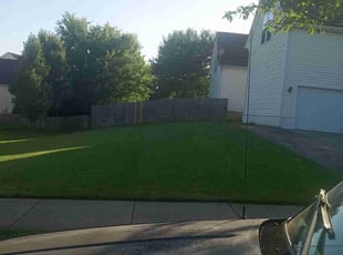 Nicole B.'s Yard Cutting service result
