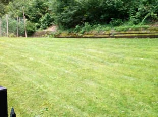Oc K.'s Lawn Care service result