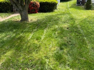 Kevin S.'s Lawn Care service result