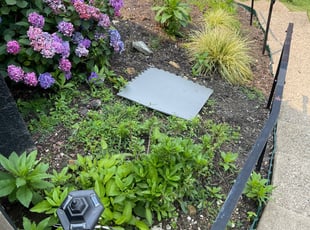 Landscaping by Tryel Payton for Amber H. in Munhall, PA