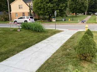 Carol R.'s Yard Cutting service result