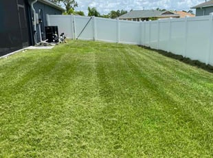 Wendy S.'s Lawn Mowing Service service result