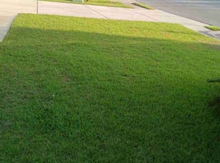 Edward W.'s Yard Cutting service result