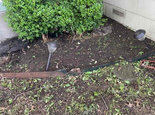 Leaf Removal by Adolfo Gonzalez Castaneda for Robert R. in Dallas, TX