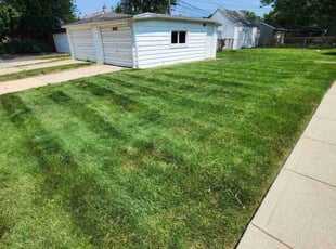 Frank M.'s Lawn Service service result