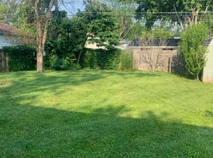 Ajaang D.'s Lawn Care service result