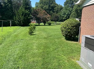 Justin S.'s Lawn Mowing service result