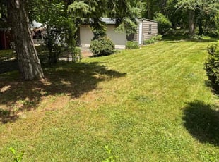 jorie b.'s Grass Cutting service result